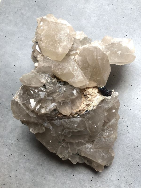 �����������ѡ��ʥ����ȥ����ѡ� ��10�� �����꡼�ե�å����쥯�����