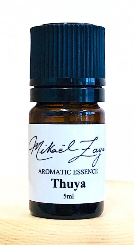 �ġ���/Thuya