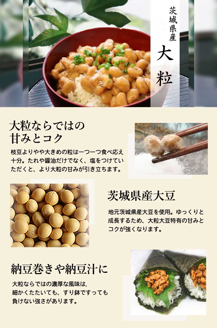 ǼƦ̣�����