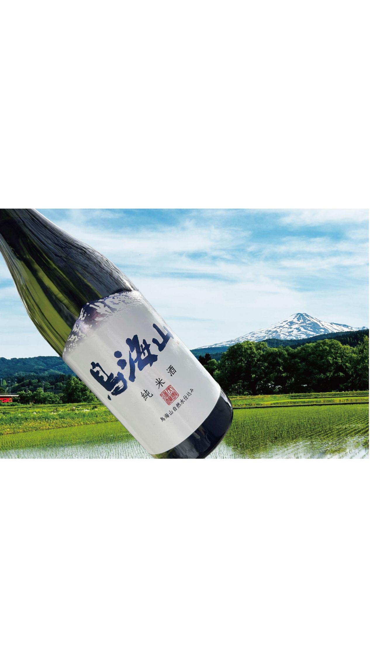 フルーティーなタイプ｜天寿酒造オンラインショップ【公式】