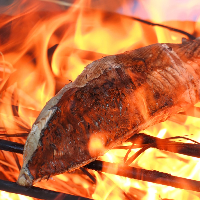 極カツオのたたき「田野屋銀象」天日塩付1節（3～4人前）｜極カツオの