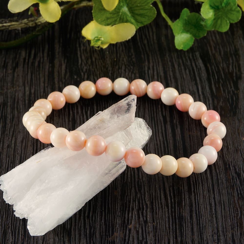 new 淡いピンクのクイーンコンクシェル 純天然女王貝 丸珠6mmブレスレット 天然石一覧 天然石から探す シェル 天然貝 アクセサリー Tenkapas new 淡いピンクのクイーンコンクシェル 純天然女王貝 丸珠6mmブレスレット 天然石一覧 天然石から探す シェル 天然貝 アクセサリー Tenkapas