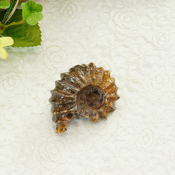 アンモナイト化石 番44g♪インテリアストーン 置物