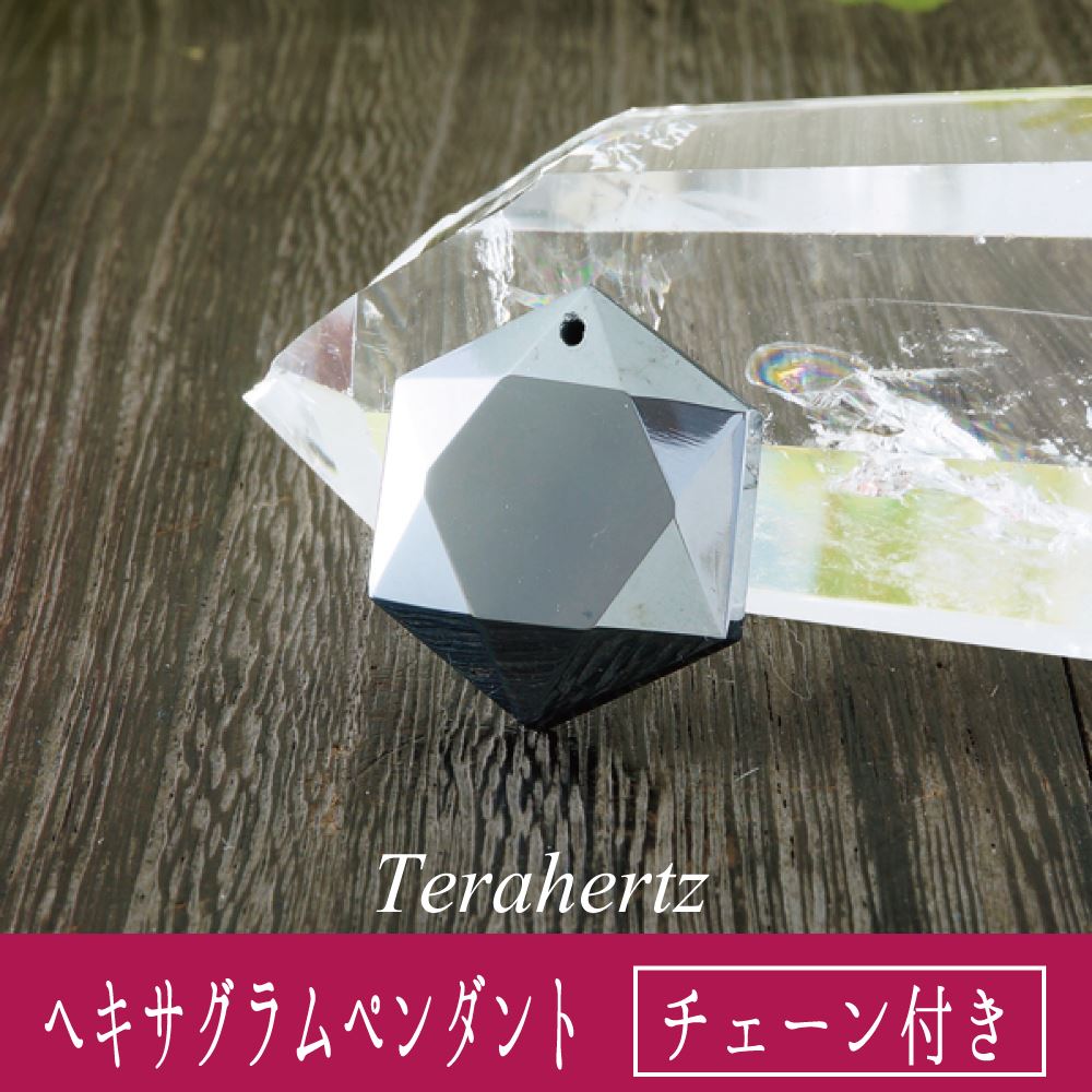 ドイツ産 テラヘルツ鉱石 【ヘキサグラム】 ペンダント スネーク