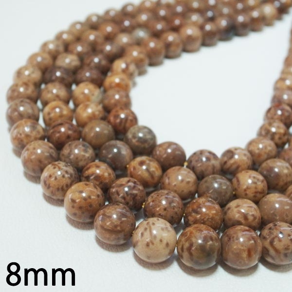 独占販売♪ココナッツ化石 一連 （6-16mm) 連売り 素材 パーツ 丸玉