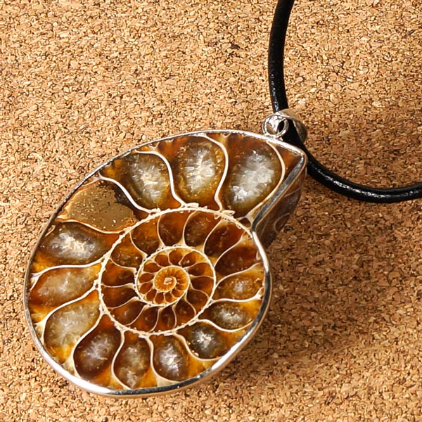 asayan様 専用 アンモナイト ペンダント 2点 asayan