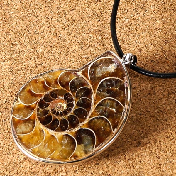 asayan アンモナイト ペンダント 2点 チェーン付き）アンモナイトペンダントトップ | iichi 日々の