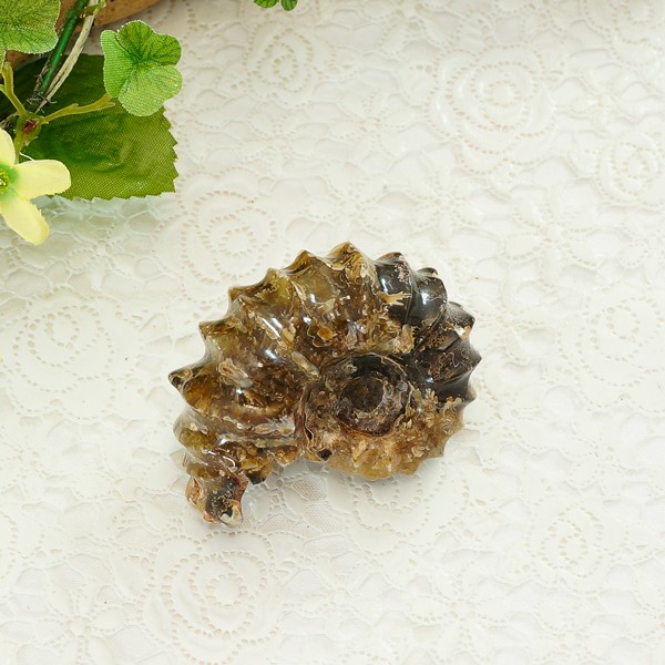 アンモナイト化石 番66g♪インテリアストーン 置物 | 天然石一覧