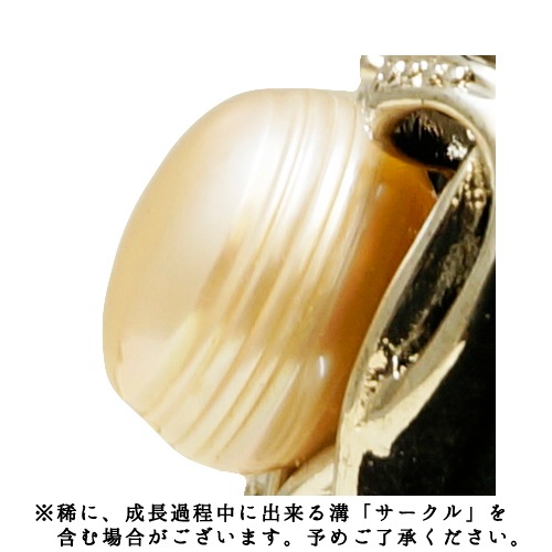 6月誕生石  淡水パール ペンダント 天然石 パワーストーン 真珠 CZ ラインストーン