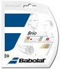 5張りセット 40%OFF【バボラ】シントロニックブリオ 125/130