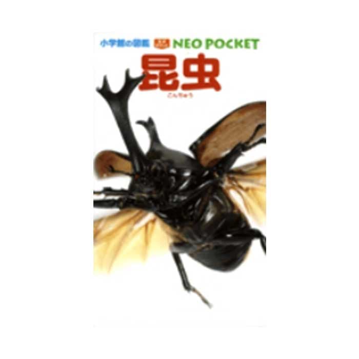 NEO POCKET ����