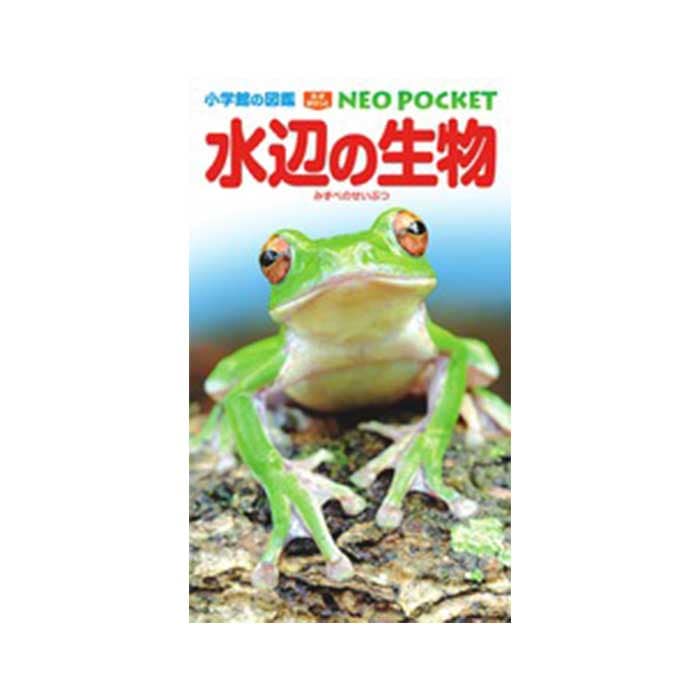 NEO POCKET ���դ���ʪ