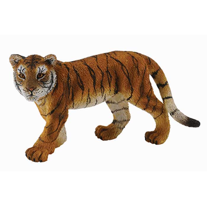Collecta���ȥ��
