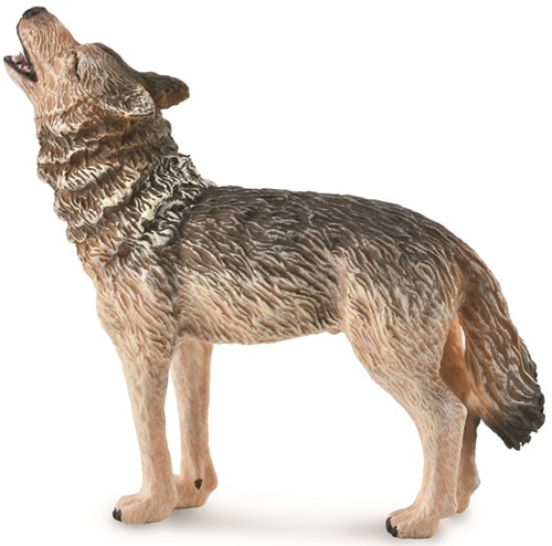 Collecta���ƥ���С�����եϥ����