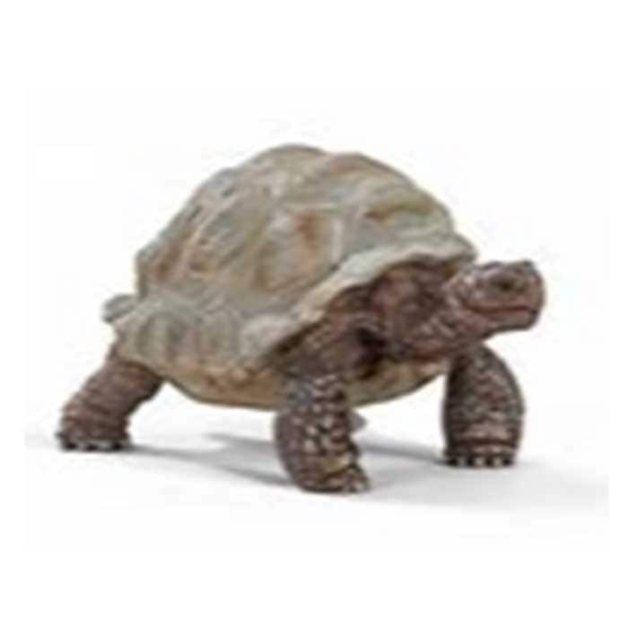 ����饤�ҡ���������