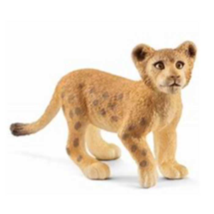 ����饤�ҡ��饤����ʻơ�