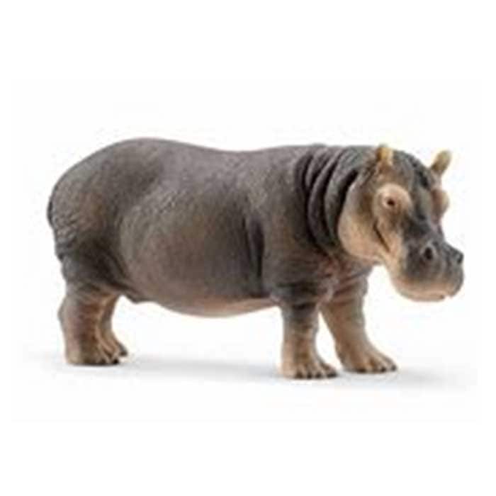 ����饤�ҡ�����