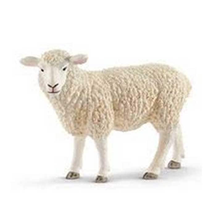 ����饤�ҡ��ҥĥ�