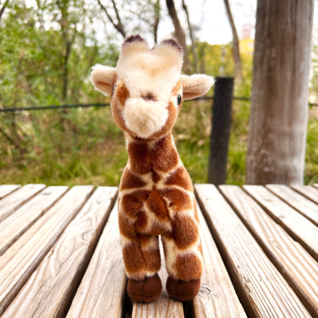 キリンぬいぐるみ 天王寺動物園オリジナル】キリンぬいぐるみ 幸弥S | 天王寺