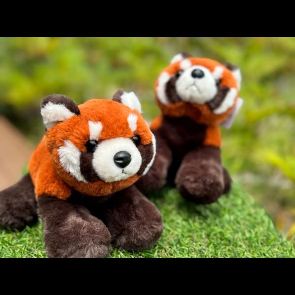 天王寺動物園オリジナル】レッサーパンダぬいぐるみ | 天王寺