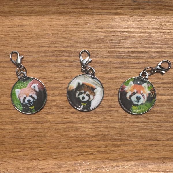 ŷưʪ४ꥸʥۥåѥBD㡼ॻå