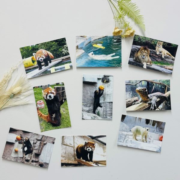 ŷưʪ४ꥸʥۥݥȥver.2B