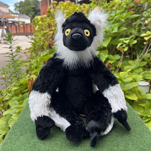 Wild Republic ޥĥͥ