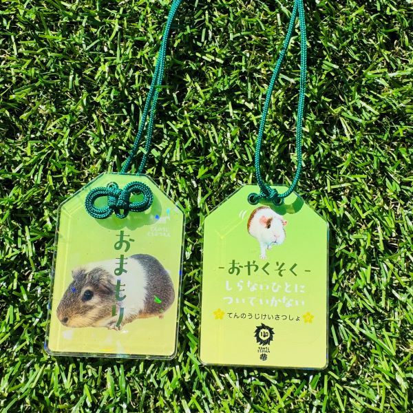 ŷưʪŷٻۤޤ륭ۥå