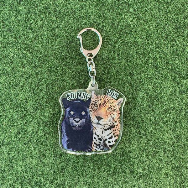 ��ŷ����ưʪ�४�ꥸ�ʥ�۹�ݥ��㥬������������륭���ۥ���������å�