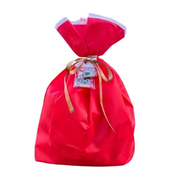 天王寺動物園オリジナル】レッサーパンダ福袋2026 | 天王寺動物園