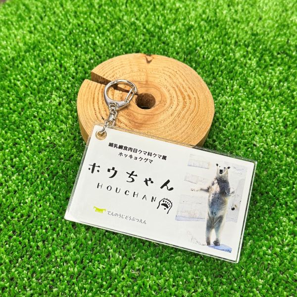 ��ŷ����ưʪ�४�ꥸ�ʥ�۹�ݥۥå��祯���ޤ��� ̾����������륭���ۥ����