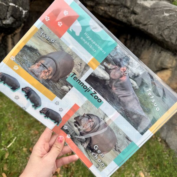 ��ŷ����ưʪ�४�ꥸ�ʥ�ۥ�������BD�����Х��ꥢ�ե�����