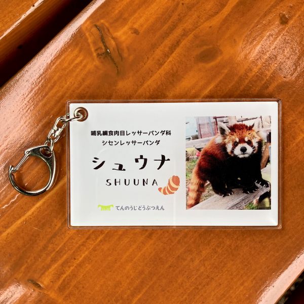 ��ŷ����ưʪ�४�ꥸ�ʥ�� ̾����������륭���ۥ���������奦��