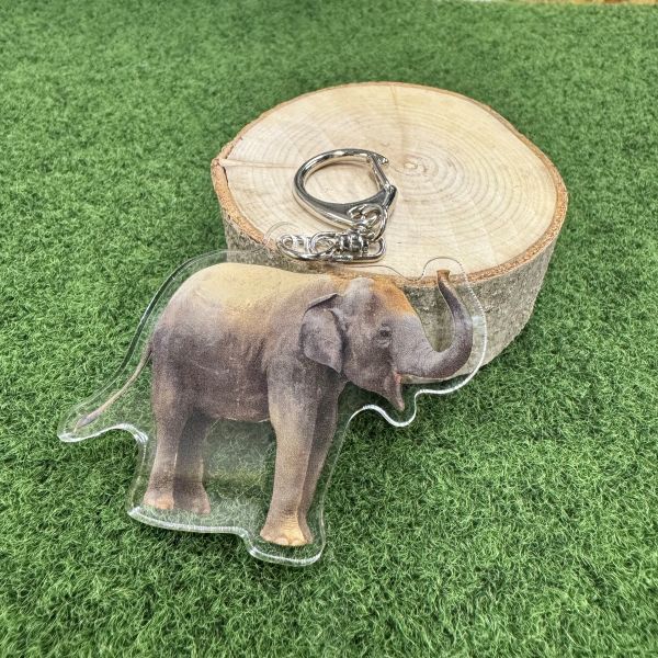 ��ŷ����ưʪ�४�ꥸ�ʥ�ۼ¼̥�����륭���ۥ�����������ʥ��⥤��