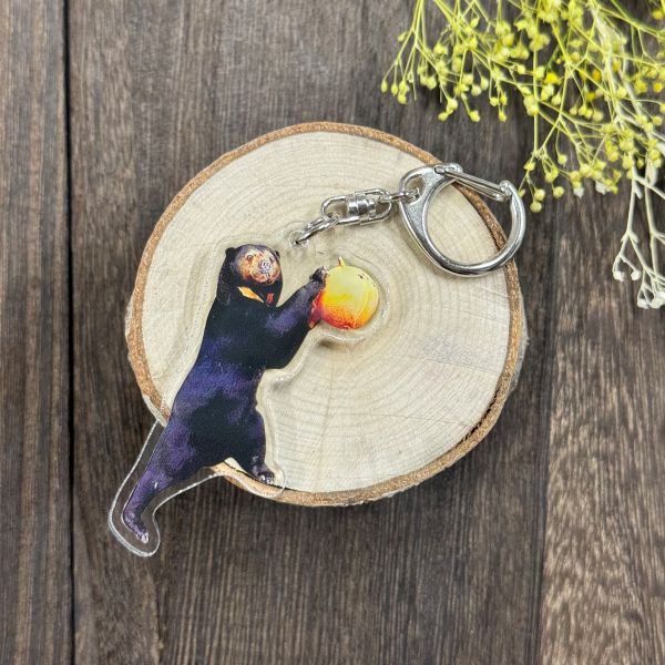 ��ŷ����ưʪ�४�ꥸ�ʥ�ۼ¼̥�����륭���ۥ�������ޥ졼����