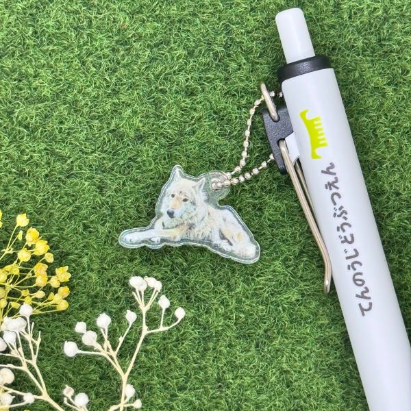 ��ŷ����ưʪ�४�ꥸ�ʥ�ۥ��㡼���դ��ܡ���ڥ󡡥�������