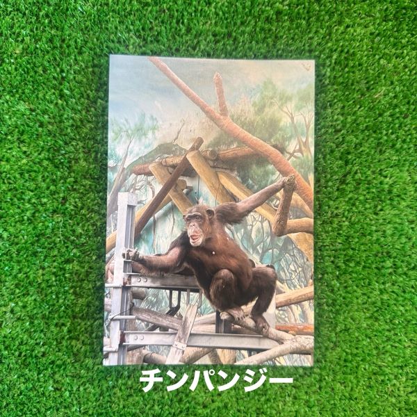 ��ŷ����ưʪ�४�ꥸ�ʥ�ۥݥ��ȥ�����ver.2��A��