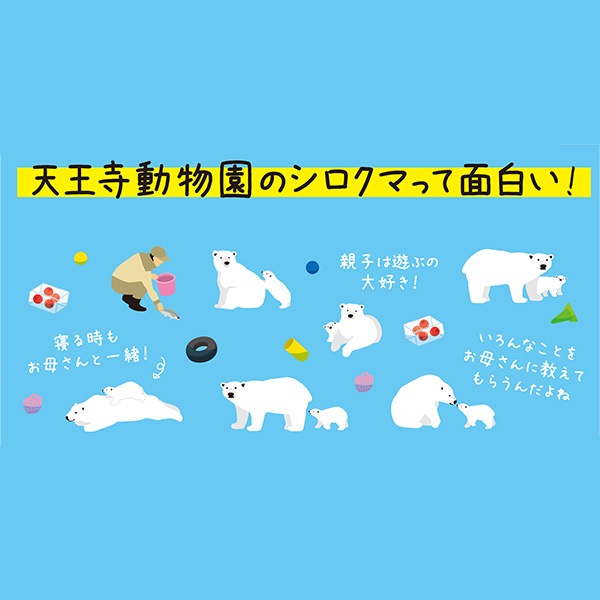 ��ŷ����ưʪ�४�ꥸ�ʥ�ۥѥ������� �ۥå��祯����