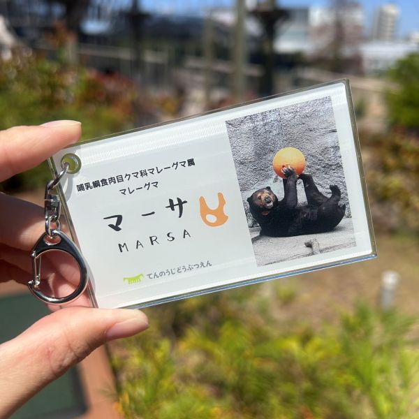 ��ŷ����ưʪ�४�ꥸ�ʥ��̾����������륭���ۥ�������ޡ���