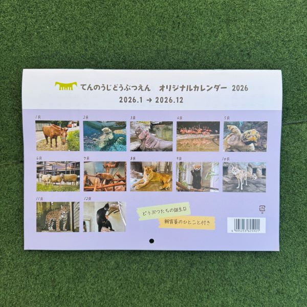 ŷưʪ४ꥸʥۥ2026