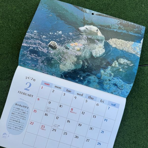 ŷưʪ४ꥸʥۥ2026