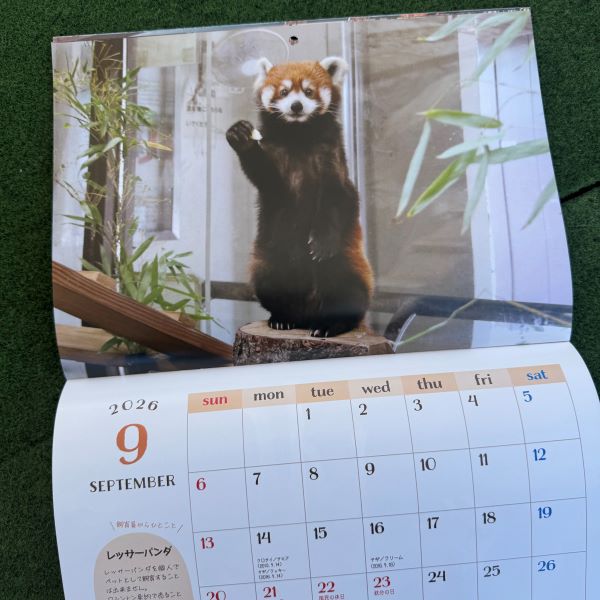 ŷưʪ४ꥸʥۥ2026