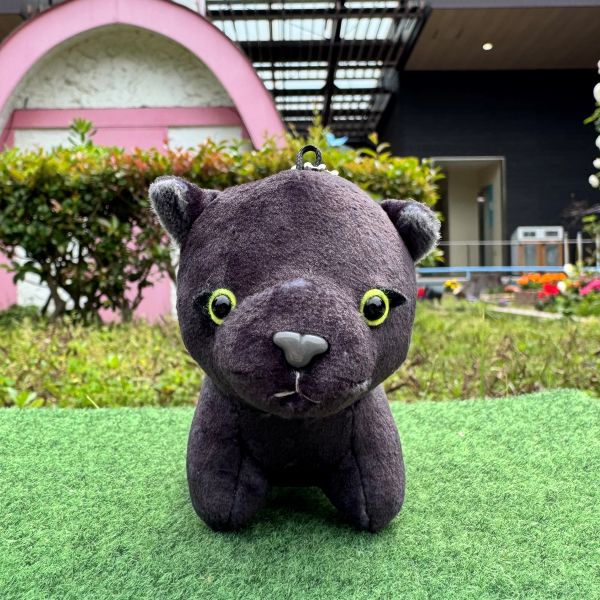 ��ŷ����ưʪ�४�ꥸ�ʥ�ۥޥ����åȥ����������� �����㥬��