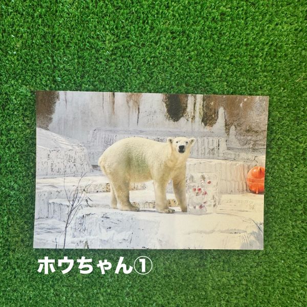 ��ŷ����ưʪ�४�ꥸ�ʥ�ۥݥ��ȥ�����ver.2��B��