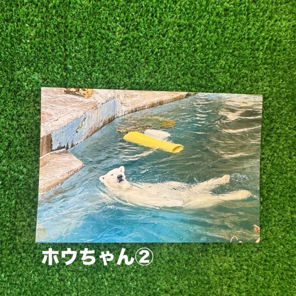 ��ŷ����ưʪ�४�ꥸ�ʥ�ۥݥ��ȥ�����ver.2��B��