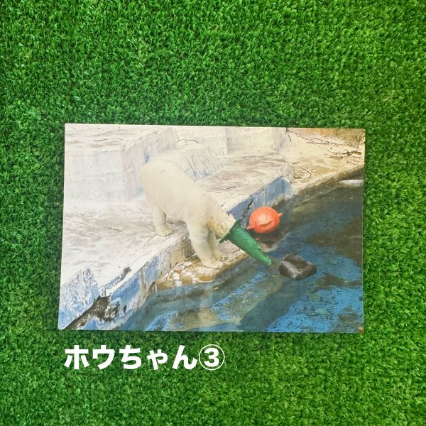 ��ŷ����ưʪ�४�ꥸ�ʥ�ۥݥ��ȥ�����ver.2��B��