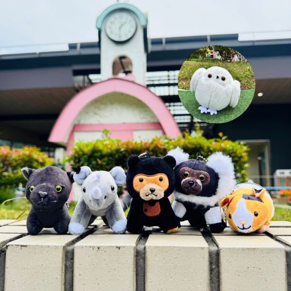 ��ŷ����ưʪ�४�ꥸ�ʥ�ۥޥ����åȥ����������� �ƥ󥸥��ͥ���