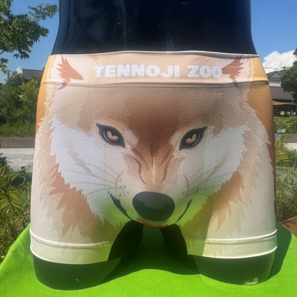 ��ŷ����ưʪ�४�ꥸ�ʥ�ۥ�����쥹�ܥ������ѥ�ġ����奦������������