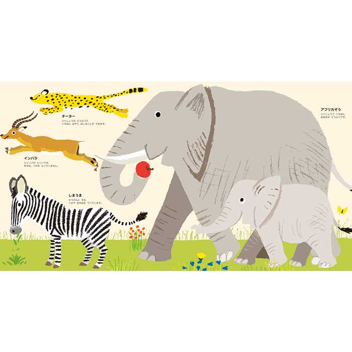 �Ϥ���Ƥ����󡡤ɤ��֤�1