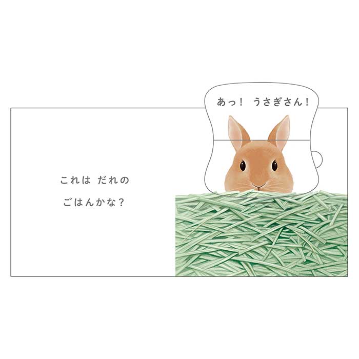 ����Τ��Ϥ󤫤ʡ�